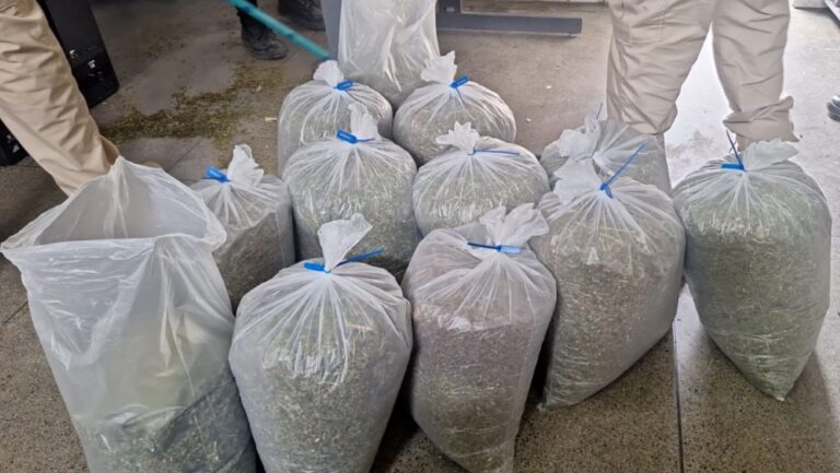 Operação cumpre mandados contra organização criminosa em Utinga