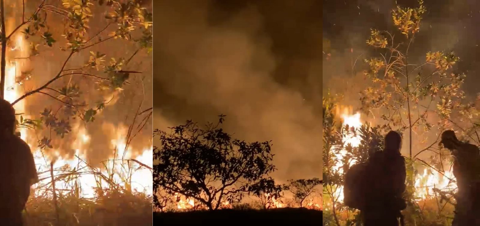 Incêndio atinge área do Parque Nacional da Chapada Diamantina, em Lençóis