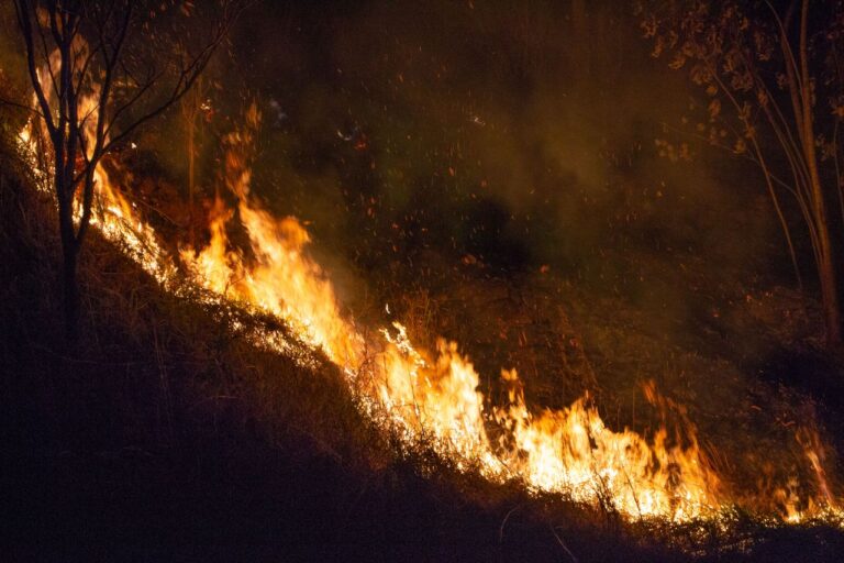 Mucugê e Palmeiras suspendem queimadas após alerta de incêndios